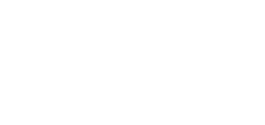 David Denies logo