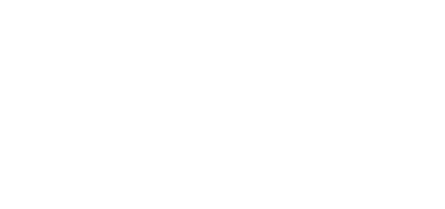 Red Stag Patagonia logo